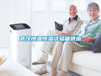 知識百科武漢恒溫恒濕試驗箱供應