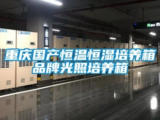 知識(shí)百科重慶國(guó)產(chǎn)恒溫恒濕培養(yǎng)箱品牌光照培養(yǎng)箱