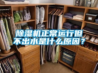 行業新聞除濕機正常運行但不出水是什么原因？