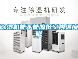 行業新聞除濕機能不能降低室內溫度呢