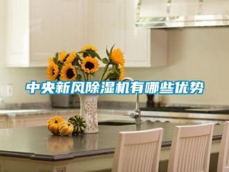 知識(shí)百科中央新風(fēng)除濕機(jī)有哪些優(yōu)勢(shì)