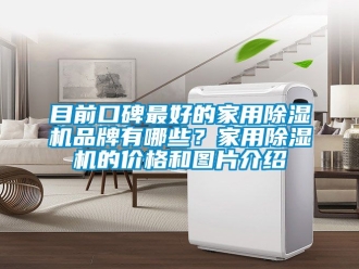 企業(yè)新聞目前口碑最好的家用除濕機(jī)品牌有哪些？家用除濕機(jī)的價格和圖片介紹