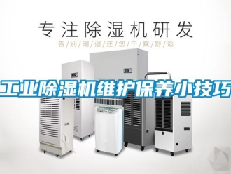 企業新聞工業除濕機維護保養小技巧