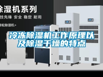 行業新聞冷凍除濕機工作原理以及除濕干燥的特點