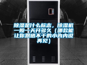 行業(yè)新聞除濕是什么標(biāo)志，除濕機(jī)一般一天開多久（哪款能讓你跟曬不干的小內(nèi)內(nèi)說(shuō)再見）