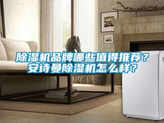 企業新聞除濕機品牌哪些值得推薦？安詩曼除濕機怎么樣？