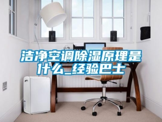 行業新聞潔凈空調除濕原理是什么_經驗巴士