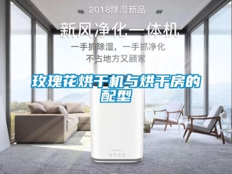 行業新聞玫瑰花烘干機與烘干房的配型