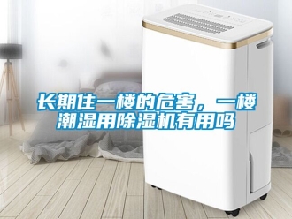 行業新聞長期住一樓的危害，一樓潮濕用除濕機有用嗎