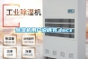 長沙除濕機｜長沙工業(yè)除濕機
