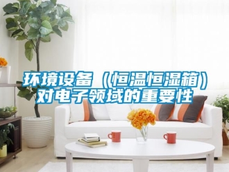 知識百科環境設備（恒溫恒濕箱）對電子領域的重要性