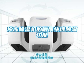 行業新聞冷凍除濕機的瞬間快速除濕功能