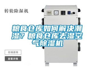 企業(yè)新聞糧食倉(cāng)庫(kù)如何解決潮濕？糧食倉(cāng)庫(kù)去濕空氣除濕機(jī)