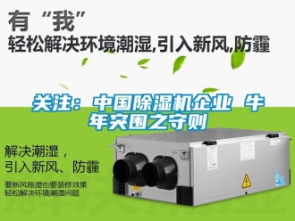 行業新聞關注：中國除濕機企業 牛年突圍之守則