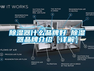 行業新聞除濕器什么品牌好 除濕器品牌介紹【詳解】