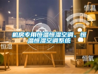 知識百科機(jī)房專用恒溫恒濕空調(diào)、恒溫恒濕空調(diào)系統(tǒng)