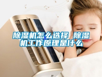 行業新聞除濕機怎么選擇 除濕機工作原理是什么
