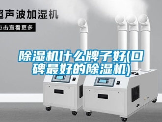 行業新聞除濕機什么牌子好(口碑最好的除濕機)