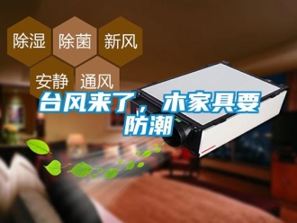知識(shí)百科臺(tái)風(fēng)來了，木家具要防潮