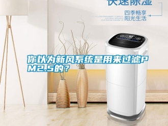 行業新聞你以為新風系統是用來過濾PM2.5的？