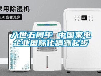 行業新聞入世五周年 中國家電企業國際化蹣跚起步