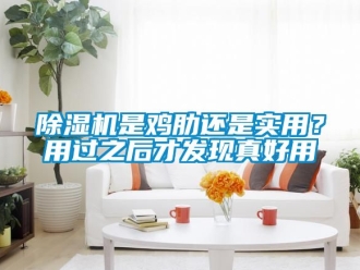 行業新聞除濕機是雞肋還是實用？用過之后才發現真好用