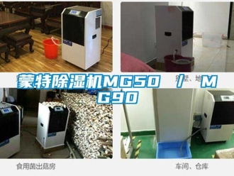 行業(yè)新聞蒙特除濕機MG50 ／ MG90