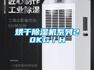 行業新聞烘干除濕機系列20KG／H