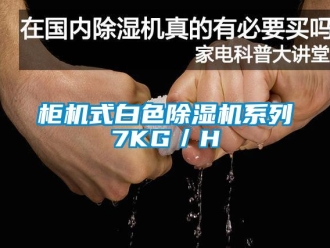 行業(yè)新聞柜機式白色除濕機系列7KG／H