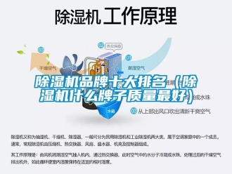 企業新聞除濕機品牌十大排名（除濕機什么牌子質量最好）