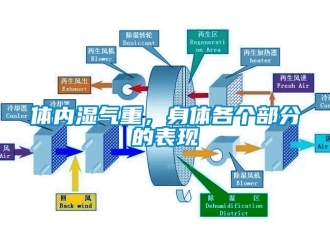 知識百科體內(nèi)濕氣重，身體各個部分的表現(xiàn)