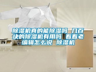 行業新聞除濕機真的能除濕嗎 幾百塊的除濕機有用嗎 看看老編輯怎么說 除濕機