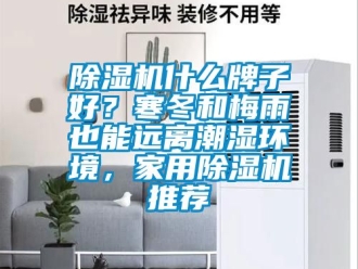常見問題除濕機什么牌子好？寒冬和梅雨也能遠離潮濕環境，家用除濕機推薦