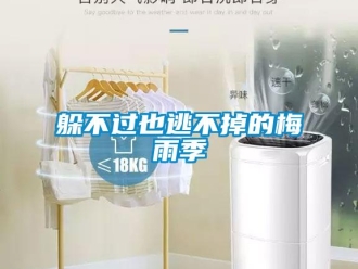 企業新聞躲不過也逃不掉的梅雨季