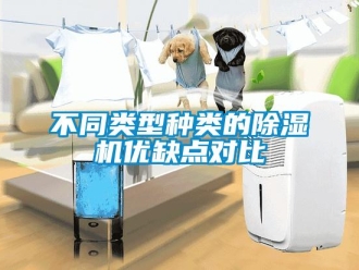 常見問題不同類型種類的除濕機優缺點對比