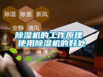企業新聞除濕機的工作原理 使用除濕機的好處