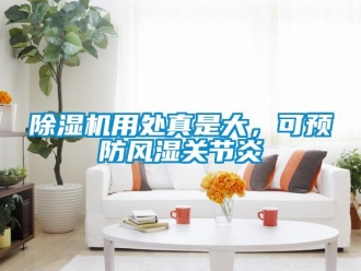 企業(yè)新聞除濕機用處真是大，可預防風濕關節(jié)炎