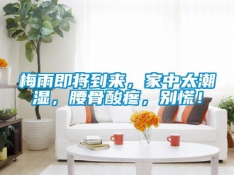 行業(yè)新聞梅雨即將到來，家中太潮濕，腰骨酸疼，別慌！