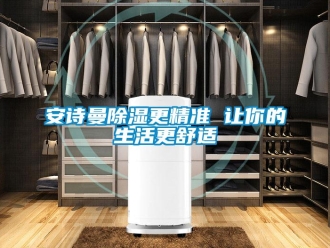 企業(yè)新聞安詩(shī)曼除濕更精準(zhǔn) 讓你的生活更舒適