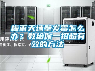 常見問題梅雨天墻壁發霉怎么辦？教給你一招超有效的方法