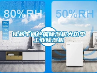 常見問題食品車間倉(cāng)庫(kù)除濕機(jī)大功率工業(yè)除濕機(jī)