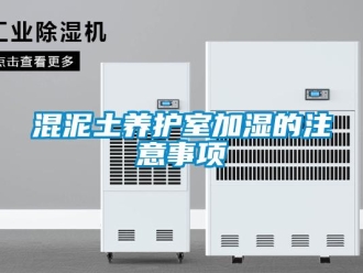 行業新聞混泥土養護室加濕的注意事項