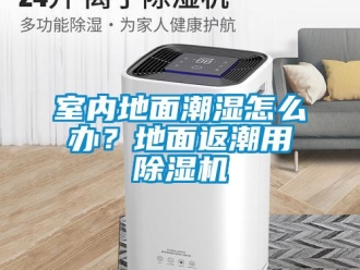 常見問題室內地面潮濕怎么辦？地面返潮用除濕機
