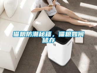 常見問題貓糧防潮秘籍，貓糧如何儲存