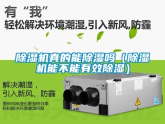 行業新聞除濕機真的能除濕嗎（除濕機能不能有效除濕）