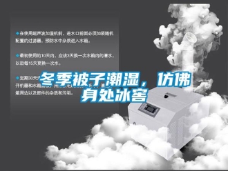企業(yè)新聞冬季被子潮濕，仿佛身處冰窖
