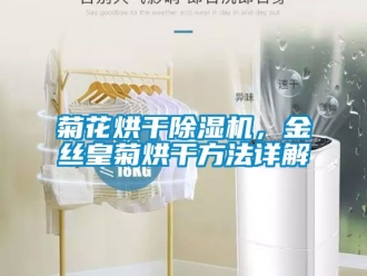行業(yè)新聞菊花烘干除濕機(jī)，金絲皇菊烘干方法詳解