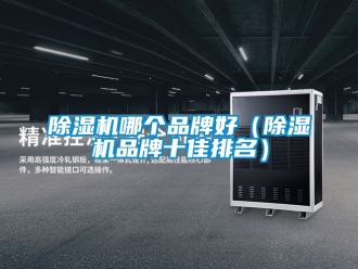 企業(yè)新聞除濕機(jī)哪個品牌好（除濕機(jī)品牌十佳排名）
