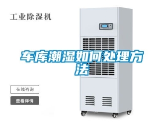企業新聞車庫潮濕如何處理方法