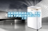 這間熱帶雨林辦公室，不潮濕不下雨還讓員工忘記了在工作